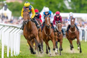 הימורי סוסים