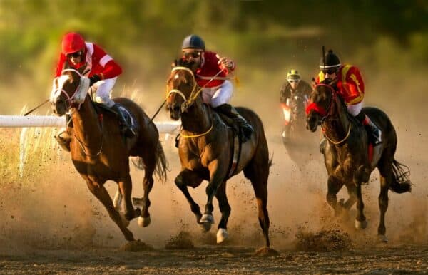 הימורים על מרוצי סוסים